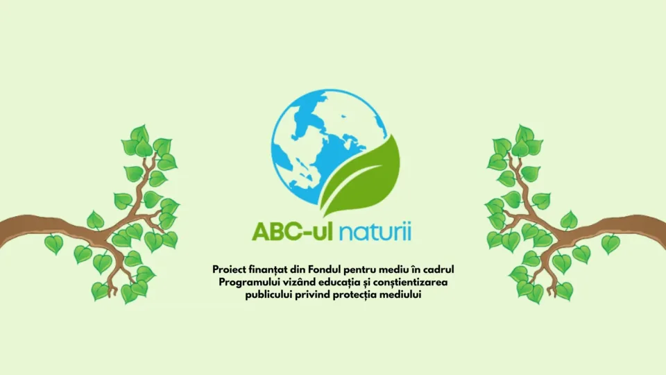 ABC-ul educației tinerilor în relație cu natura și mediul înconjurător